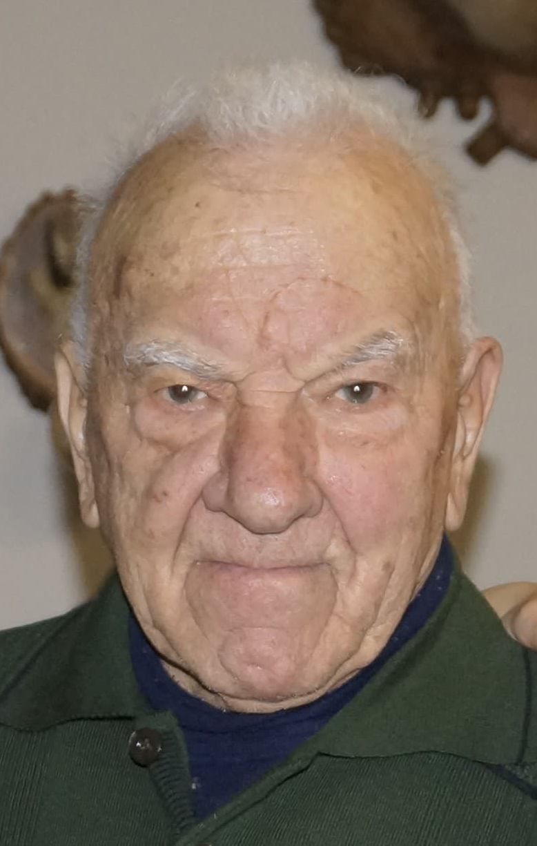 Luigi Cerqui
